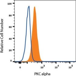 PKC alpha Antibody (MC5) - Azide and BSA Free, Novus Biologicals 0.1 mL;